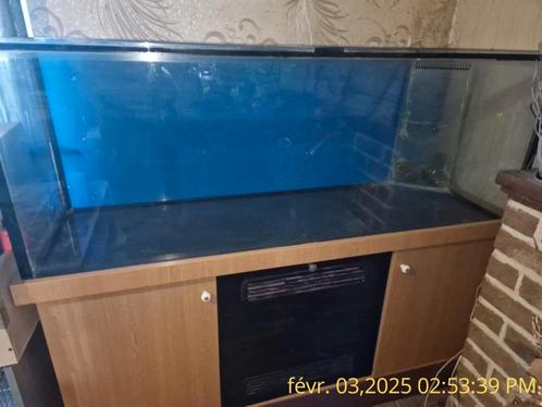 Aquarium marin avec meuble, Dieren en Toebehoren, Vissen | Aquaria en Toebehoren, Gebruikt, Ophalen