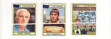 Panini / Football 84 / Club Brugge / 3 stickers / Kessler beschikbaar voor biedingen