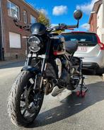 Triumph Trident 660, 660 cc, 3 cilinders, Particulier, Meer dan 35 kW