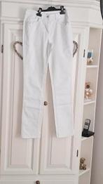 Witte broek Cecil, Kleding | Dames, Ophalen of Verzenden, Zo goed als nieuw, Maat 36 (S)