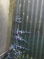 L46, Dieren en Toebehoren, Vissen | Aquariumvissen, Vis, Zoetwatervis