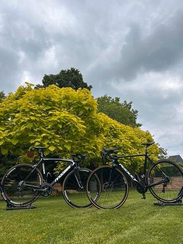 Racefiets + Cyclocrossfiets te koop/ruil beschikbaar voor biedingen