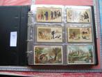 album08 Chromolithos 19e siècle 196 estampes comme Liebig, Collections, Autres sujets/thèmes, Avant 1940, Utilisé, Enlèvement ou Envoi