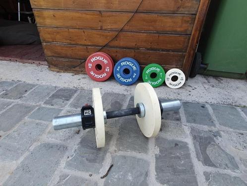 Set van 2 Rogue DB-15 Loadable Dumbbells + KG Change Plates, Sport en Fitness, Fitnessmaterialen, Gebruikt, Dumbbell, Armen, Benen
