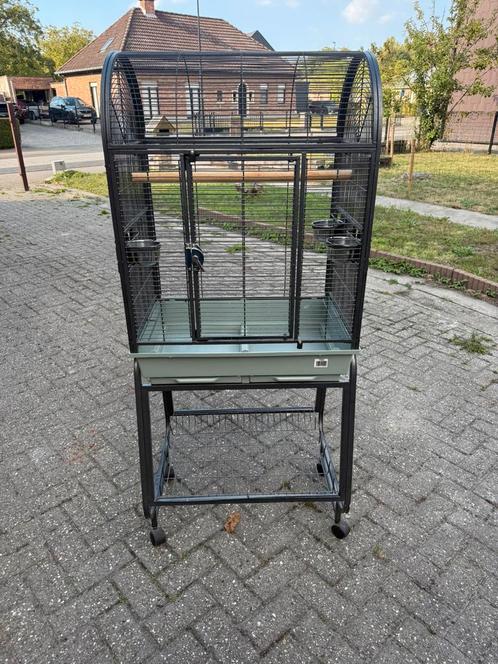 Papegaaienkooi/ vogelkooi, Dieren en Toebehoren, Vogels | Hokken en Kooien, Zo goed als nieuw, Vogelkooi, Overige materialen, Ophalen