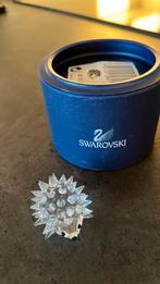 Mini hérisson sans moustaches, Enlèvement ou Envoi, Neuf