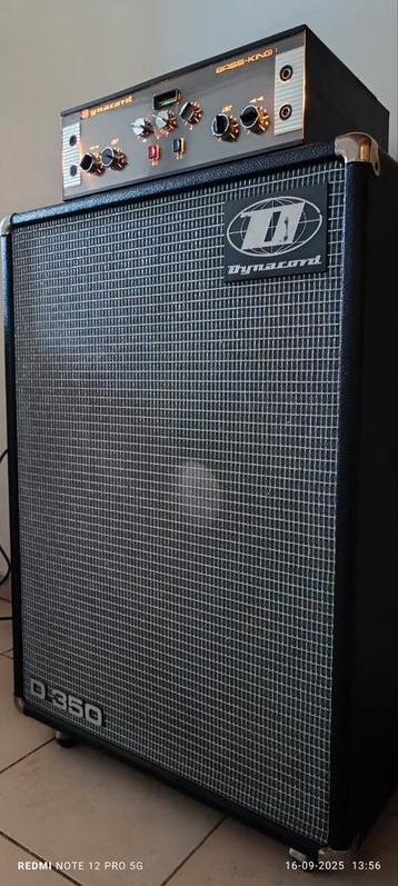Dynacord BassKing mk1 1966 beschikbaar voor biedingen