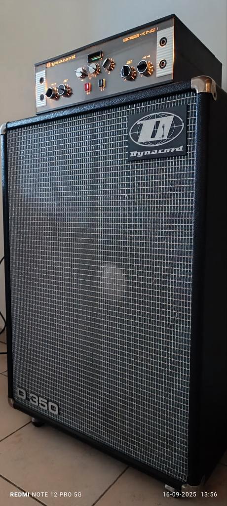Dynacord BassKing mk1 1966, Muziek en Instrumenten, Versterkers | Bas en Gitaar, Zo goed als nieuw, Ophalen