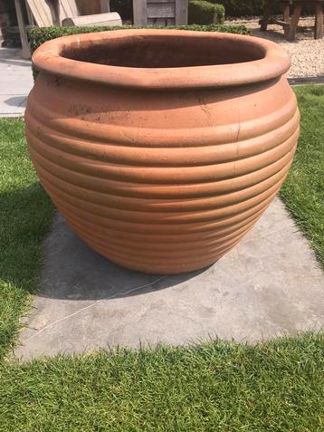 Grote Terracottapot 
