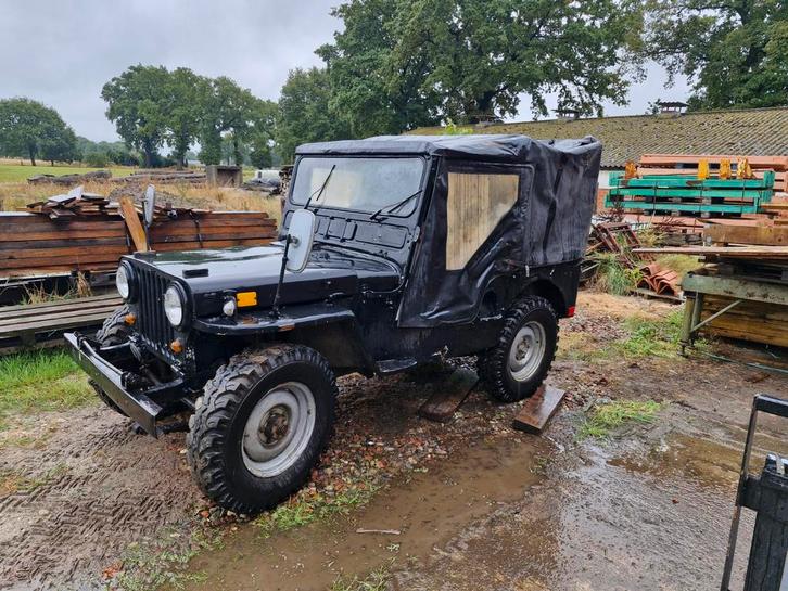 Willys m38, Auto's, Jeep, Particulier, Overige modellen, Diesel, SUV of Terreinwagen, 2 deurs, Handgeschakeld, Zwart, Vierwielaandrijving