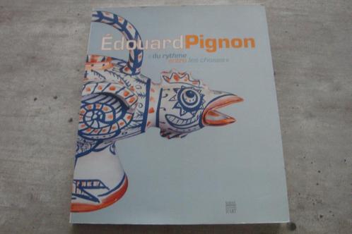 EDOUARD PIGNON - DURYTHME ENTRE LES CHOSES, Livres, Art & Culture | Arts plastiques, Utilisé, Enlèvement ou Envoi