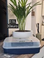 Tupperware scharnierdoos 2.5L Nieuw, Huis en Inrichting, Keuken | Tupperware, Ophalen of Verzenden, Zo goed als nieuw