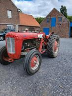 Traktor MF35, Zakelijke goederen, Ophalen, Massey Ferguson