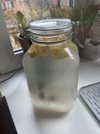 Kefirkorrels voor waterkefir, Diversen, Levensmiddelen, Ophalen