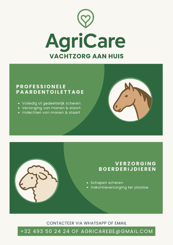 Scheren en toilettage aan huis voor paarden, Dieren en Toebehoren, Paarden