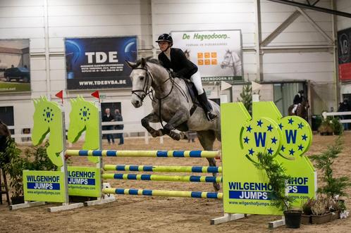 Mooie talentvolle 5 jarige merrie, Dieren en Toebehoren, Paarden, Merrie, 165 tot 170 cm, 3 tot 6 jaar, Springpaard, Met stamboom