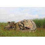 Triceratops – Dinosaurus beeld Lengte 434 cm, Ophalen, Nieuw