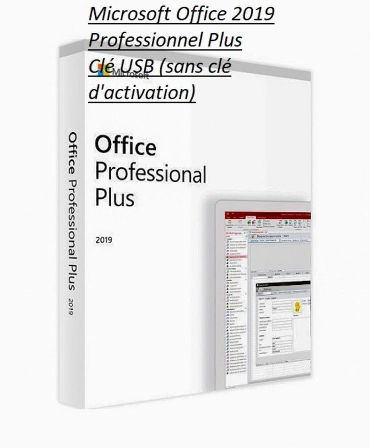 Microsoft Office 2019 Professionnel Plus  Clé USB (sans clé, Informatique & Logiciels, Logiciel Office, Neuf, Windows, Access