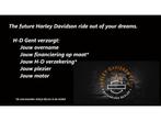 Harley-Davidson All-road PAN AMERICA DIRECT LEVERBAAR, Motoren, 1252 cc, Bedrijf, Cruise Control, Overig