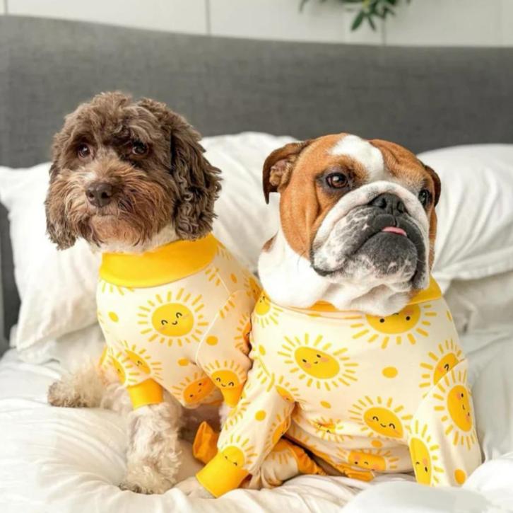 Hondenkleding, Dieren en Toebehoren, Hondenkleding, Nieuw, Overige hondenkleding, Ophalen of Verzenden