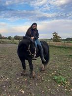 Paarden zadelmak maken, Dieren en Toebehoren, Paarden, Zadelmak