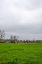 Stukje grasland of landbouwgrond gezocht, Dieren en Toebehoren, Weidegang