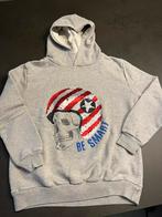 Zara grijze hoodie maat 152. Zeer goede staat., Kinderen en Baby's, Gebruikt, Trui of Vest, Ophalen of Verzenden, Zara