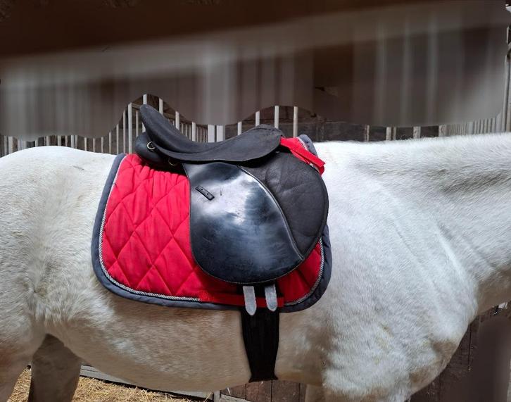 Wintec 2000 en Kieffer zadel te koop, Dieren en Toebehoren, Paarden en Pony's | Zadels, Gebruikt, Recreatie, Ophalen