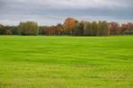 Weide gezocht, Dieren en Toebehoren, Stalling en Weidegang