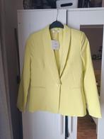 Veste de tailleur, Vêtements | Femmes, Enlèvement, Vert