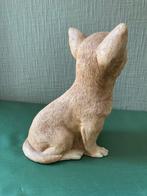 Figurine de Chihuahua, les yeux sont exactement réels, Collections, Comme neuf, Enlèvement ou Envoi