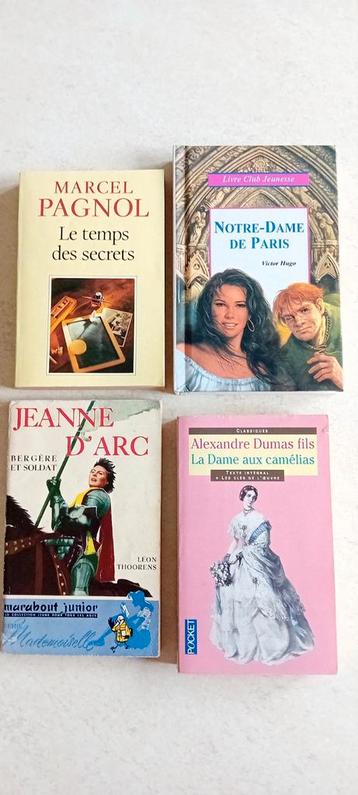 Boeken lezen: literatuur, geschiedenis... beschikbaar voor biedingen