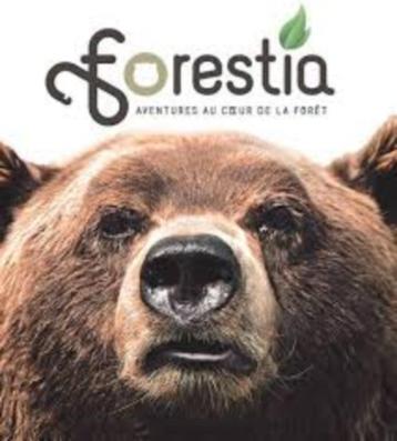 2 Tickets Adultes pour Parc Forestia (valeur 46 EUR), Tickets & Billets, Loisirs | Parcs d'attractions, Deux personnes, Ticket ou Carte d'accès