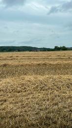 Kleine balen stro, Dieren en Toebehoren, Ophalen