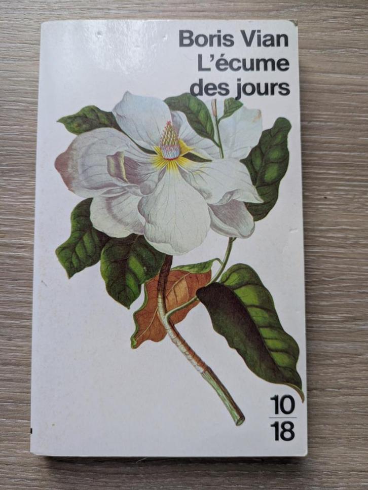 Roman - Boris Vian - L'écume des jours, Boeken, Romans, Gelezen, Ophalen of Verzenden