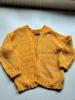 Gebreide gilet kind 116 Maya, Enfants & Bébés, Vêtements enfant | Taille 116, Pull ou Veste, Maya, Comme neuf, Enlèvement