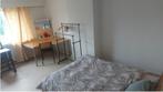 Kamer te huur, Immo, 20 tot 35 m², Hasselt
