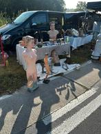Curiosa taxidermie opgezette jacht trofeeën, Ophalen of Verzenden
