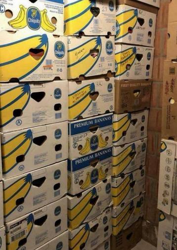 10 lege bananendozen in Koksijde bad beschikbaar voor biedingen