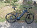 V.A.E Vtt éléctrique Haibike Hardseven Sduro 2.5 taille L, Gebruikt, 47 tot 51 cm, 50 km per accu of meer, Ophalen