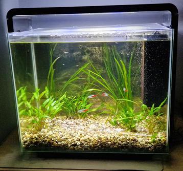 Superfish 40 liter aquarium, Enlèvement