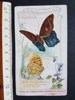 Chromo Chocolaterie d'Aiguebelle Papillons Butterfly, Enlèvement ou Envoi, Avant 1940, Gravure, Comme neuf