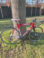 Vélo de route Focus taille 54 - 30 vitesses, Autres marques, Enlèvement, Hommes, Plus de 20 vitesses