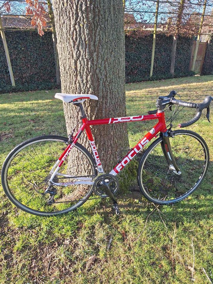 Vélo de route Focus taille 54 - 30 vitesses, Vélos & Vélomoteurs, Vélos | Vélos de course, Utilisé, Hommes, Autres marques, Plus de 20 vitesses