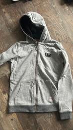 Trui maat 164, Ophalen of Verzenden, Gebruikt, Jongen, Trui of Vest