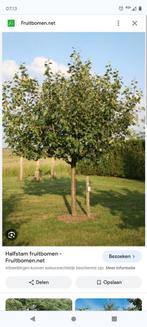 Élagage des arbres fruitiers, Jardin & Terrasse, Enlèvement ou Envoi