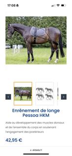 Enrênement Pessoa, Animaux & Accessoires, Chevaux & Poneys | Brides & Harnachement