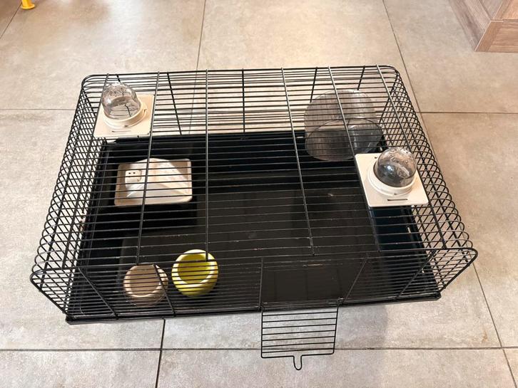 Hamsterkooi te koop, Dieren en Toebehoren, Knaagdieren en Konijnen | Hokken en Kooien, Zo goed als nieuw, Kooi, Hamster, Ophalen