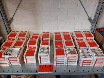 Groot lot olieverf bruintinten  beschikbaar voor biedingen
