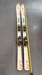 Courchevel van Dynastar 158 cm alpineskiën, 140 tot 160 cm, Gebruikt, Carve, Ophalen